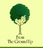 From The Ground Up